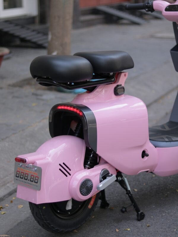 Xe điện S2 - Hồng DK Bike - Hình ảnh 6